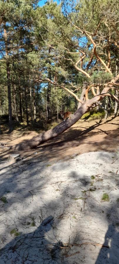 Domek Letniskowy Wczasy Nad Morzem Sasino Esterno foto